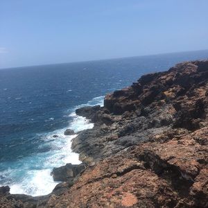 Meet your Posher, Ellie